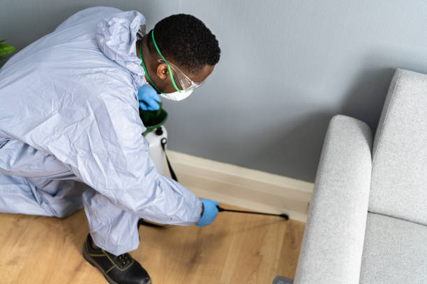 Best Bed Bug Extermination  in Ridgeland, MS